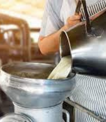 FOOD INDUSTRY